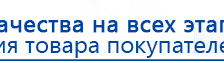 Дэнас Орто купить в Кубинке, Аппараты Дэнас купить в Кубинке, Дэнас официальный сайт denasolm.ru